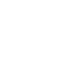 NecroDicer Image