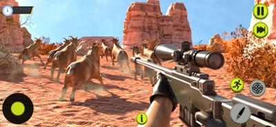 Animal Sniper Hunting 3D Games Image