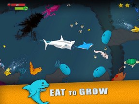 Fish Royale - Feeding Frenzy Image