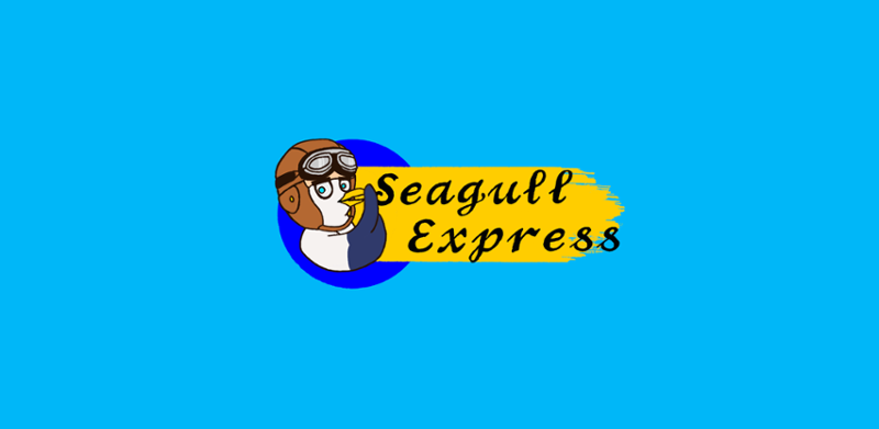 Seagull Express Game Cover