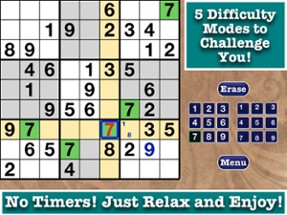 Stress Free Sudoku Game Book! Image