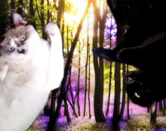 Gay Cats Go to the Weird Weird Woods Game Cover