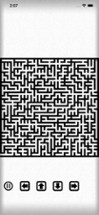 Exit Classic Maze Labyrinth Image