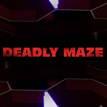 Deadly Maze Image