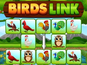 Birds Link Image