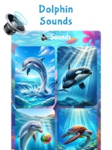 Sea World: Dolphin &amp; Whale Toy Image