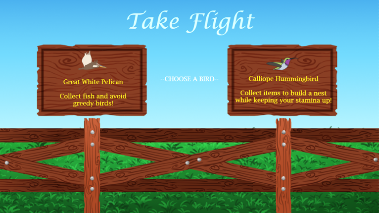 Take Flight Game Cover