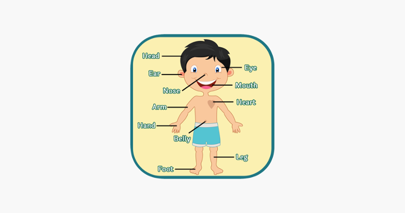 Learning Human Body Parts - Baby Learning Body Parts Game Cover