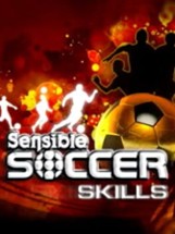 Sensible Soccer Skills Image