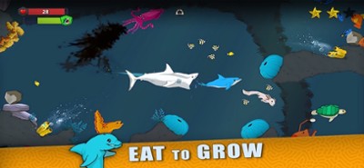 Fish Royale - Feed and Grow Image