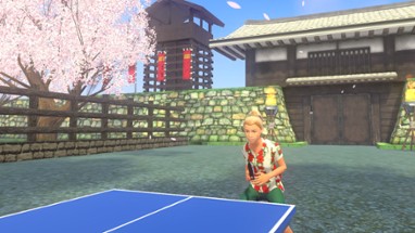 VR Ping Pong Paradise Image