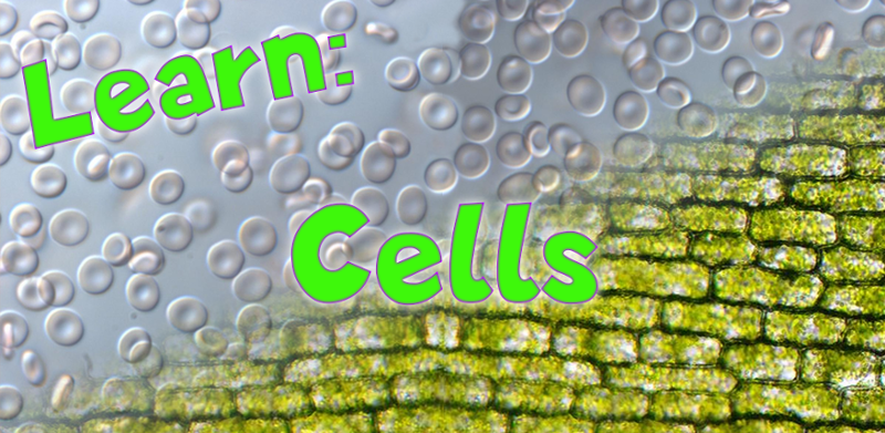 Learn: Cells Game Cover