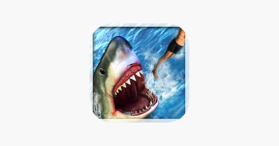 Angry Attack Shark-Revenge Of Killer Fish At Beach Image