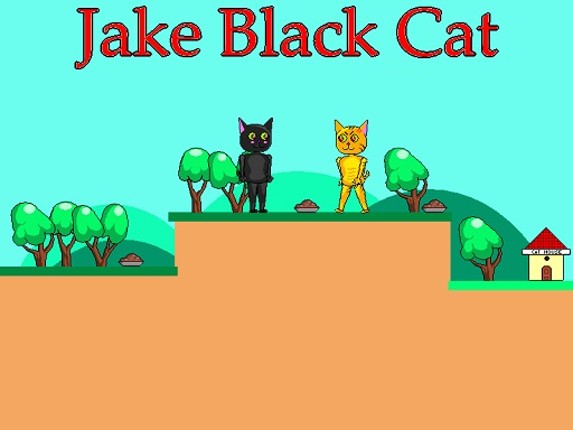 Jake Black Cat Game Cover