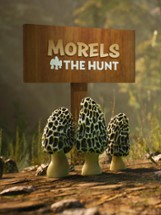 Morels: The Hunt Image