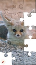 Puzzle.Plus – Classic jigsaw puzzle in your hands Image