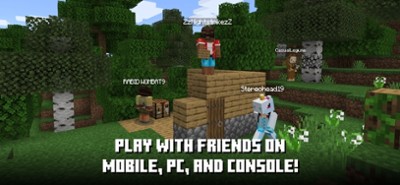 Minecraft: Play with Friends Image