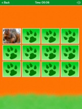 Zoo Animals Matching Game Image
