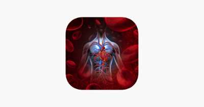 Anatomy : Circulatory System Image
