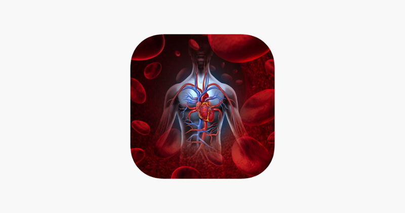 Anatomy : Circulatory System Game Cover
