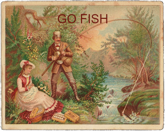 Go Fish Game Cover