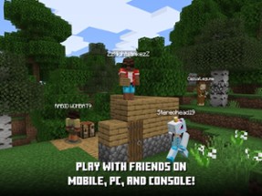 Minecraft: Play with Friends Image