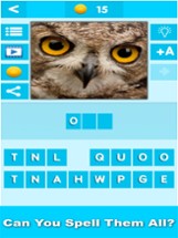 Animal Quiz Close Up : Guess the Word Trivia Games Image