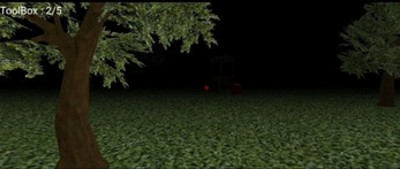 Void in the Woods Image