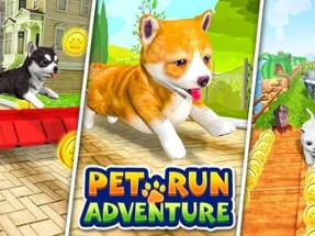 Pet Run Adventure Puppy Run Image