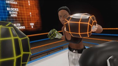 Virtual Boxing League Image