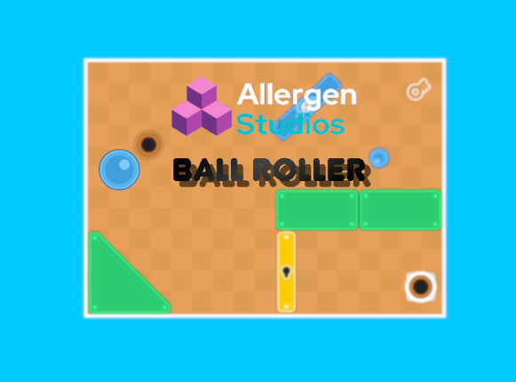 Ball Roller Game Cover