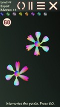 Petal Puzzler Shapes Image