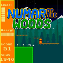 Numar of the Woods Image