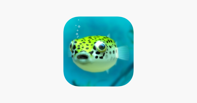 Playing with Puffer fish Game Cover