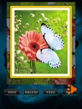 Butterfly Jigsaw Image