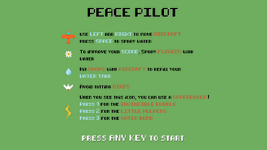 Peace Pilot Image