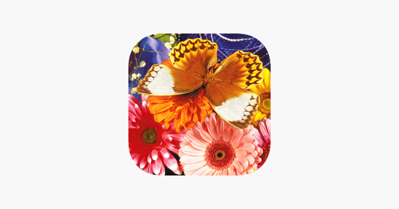 Butterfly Jigsaw Game Cover