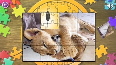 Animal World Puzzles Image