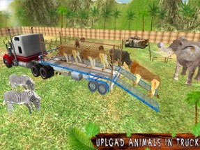 Transporter Truck Zoo Animals Image