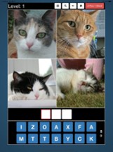 4 Pics 1 Word * Image