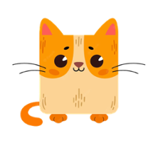 Cat Squared Image