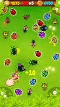 LadyBug Wars Image
