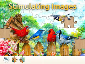 Vita Jigsaw - Large Pieces HD Image