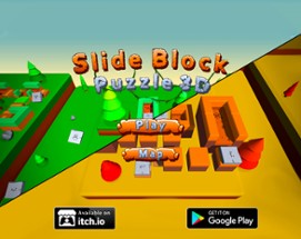 Slide Block Puzzle 3D Image