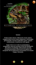 Serpientes venenosas Colombia-Venomous snakes Colombia Image