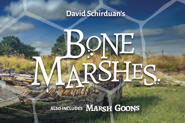 Bone Marshes Game Cover