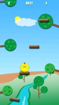 Clumsy Bird Jump - The Adventure Happy Bird Image