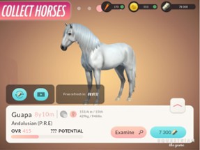 Equestrian the Game Image