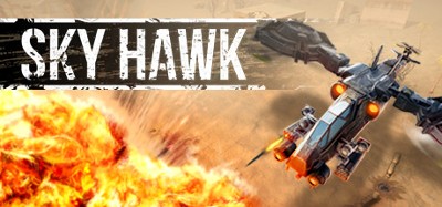 Sky Hawk Image