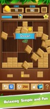 Block Sudoku: Block Puzzle 99 Image